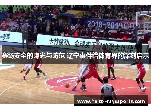 赛场安全的隐患与防范 辽宁事件给体育界的深刻启示